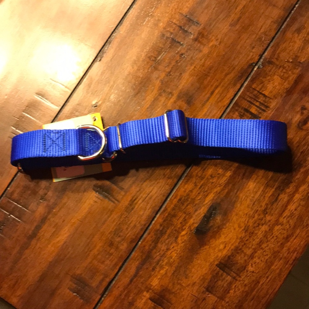 Martingale Heavyduty Nylon Dog Collar